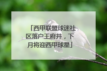 西甲联盟球迷社区落户王府井，下月将迎西甲球星