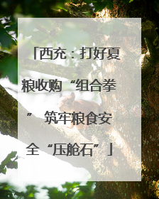 西充：打好夏粮收购“组合拳” 筑牢粮食安全“压舱石”