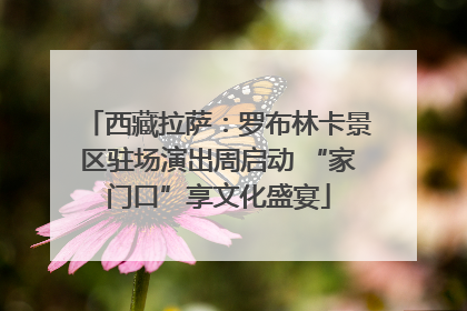 西藏拉萨：罗布林卡景区驻场演出周启动 “家门口”享文化盛宴