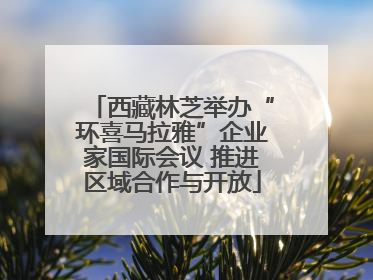西藏林芝举办“环喜马拉雅”企业家国际会议 推进区域合作与开放