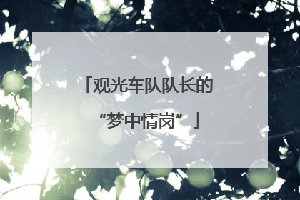 观光车队队长的“梦中情岗”