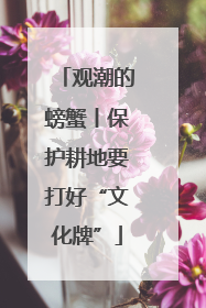 观潮的螃蟹丨保护耕地要打好“文化牌”