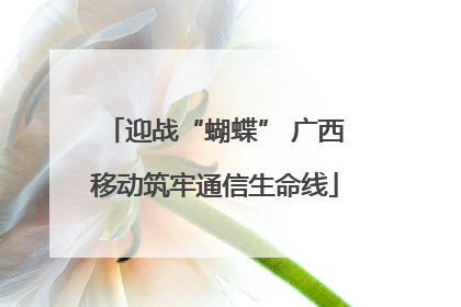 迎战“蝴蝶” 广西移动筑牢通信生命线