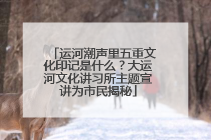 运河潮声里五重文化印记是什么？大运河文化讲习所主题宣讲为市民揭秘