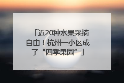 近20种水果采摘自由！杭州一小区成了“四季果园”
