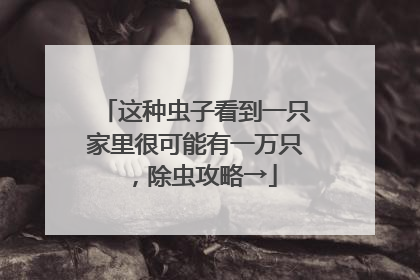 这种虫子看到一只家里很可能有一万只，除虫攻略→