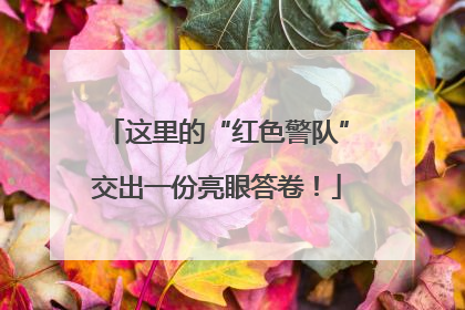 这里的“红色警队”交出一份亮眼答卷！