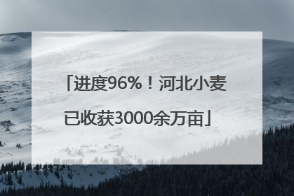 进度96%！河北小麦已收获3000余万亩