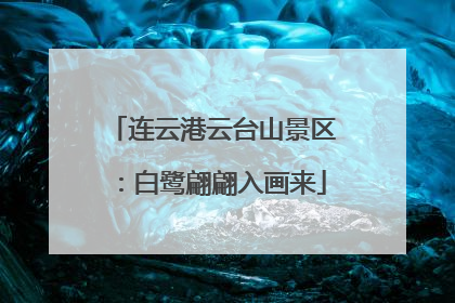 连云港云台山景区：白鹭翩翩入画来