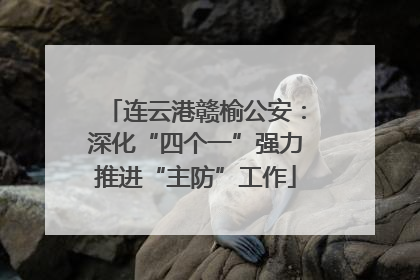 连云港赣榆公安：深化“四个一”强力推进“主防”工作
