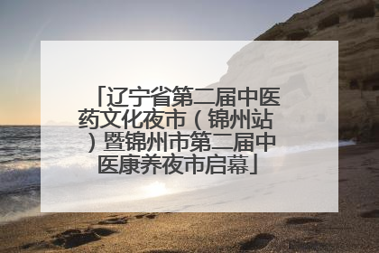 辽宁省第二届中医药文化夜市（锦州站）暨锦州市第二届中医康养夜市启幕