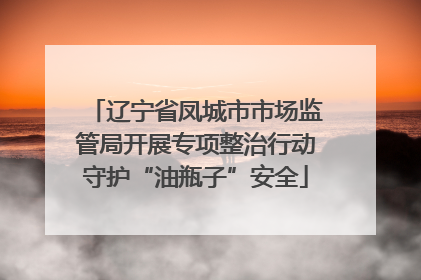 辽宁省凤城市市场监管局开展专项整治行动守护“油瓶子”安全