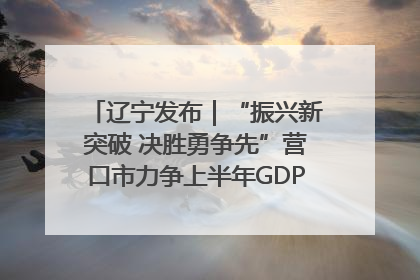 辽宁发布｜“振兴新突破 决胜勇争先”营口市力争上半年GDP增长6%左右