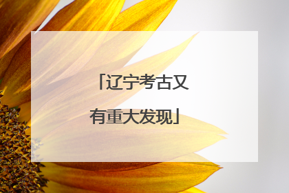 辽宁考古又有重大发现
