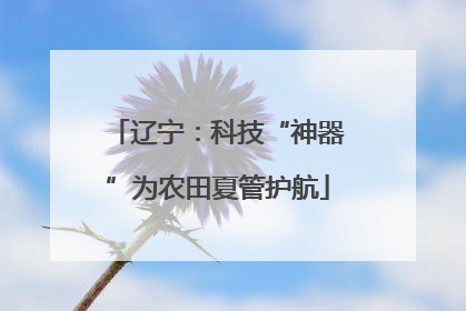 辽宁：科技“神器”为农田夏管护航