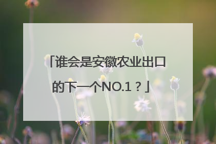谁会是安徽农业出口的下一个NO.1？