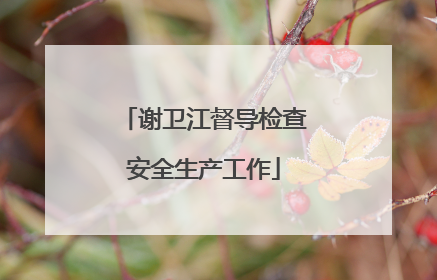 谢卫江督导检查安全生产工作