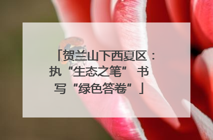 贺兰山下西夏区：执“生态之笔” 书写“绿色答卷”
