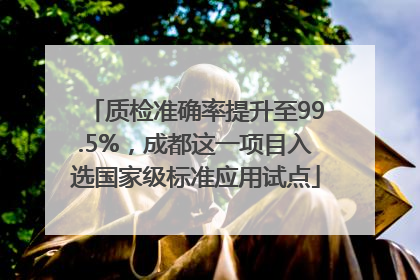 质检准确率提升至99.5%，成都这一项目入选国家级标准应用试点