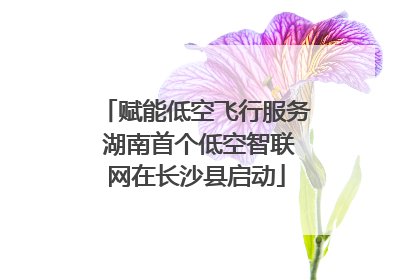 赋能低空飞行服务 湖南首个低空智联网在长沙县启动