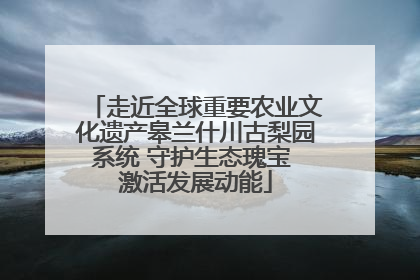 走近全球重要农业文化遗产皋兰什川古梨园系统 守护生态瑰宝 激活发展动能