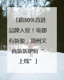 超30%首进品牌入驻！亳都有新象，郑州文商旅新IP将“上线”