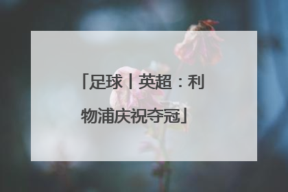 足球丨英超：利物浦庆祝夺冠