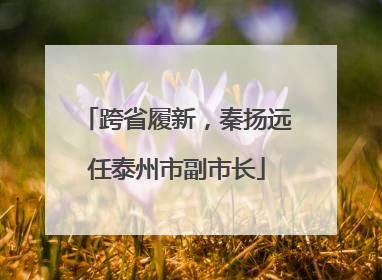 跨省履新，秦扬远任泰州市副市长