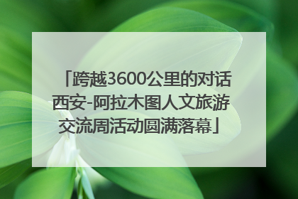 跨越3600公里的对话 西安-阿拉木图人文旅游交流周活动圆满落幕
