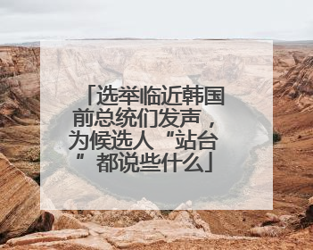 选举临近韩国前总统们发声，为候选人“站台”都说些什么