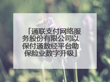 通联支付网络服务股份有限公司以保付通数经平台助保险业数字升级