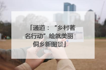 通道：“乡村著名行动”绘就美丽侗乡新图景