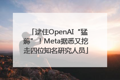 逮住OpenAI“猛薅”！Meta据悉又挖走四位知名研究人员