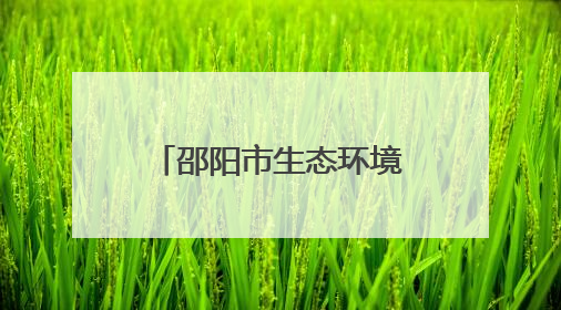邵阳市生态环境保护委员会2025年第一次全体会议暨“夏季攻势”动员部署会召开