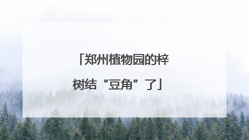 郑州植物园的梓树结“豆角”了