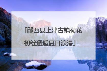 郧西县上津古镇荷花初绽邂逅夏日浪漫
