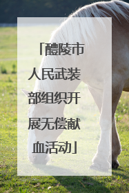 醴陵市人民武装部组织开展无偿献血活动