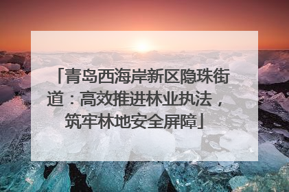 青岛西海岸新区隐珠街道：高效推进林业执法，筑牢林地安全屏障
