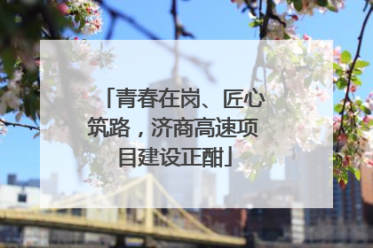 青春在岗、匠心筑路，济商高速项目建设正酣