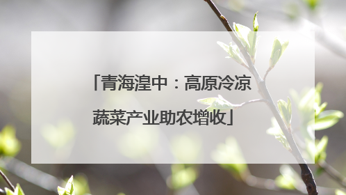 青海湟中：高原冷凉蔬菜产业助农增收