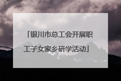 银川市总工会开展职工子女家乡研学活动