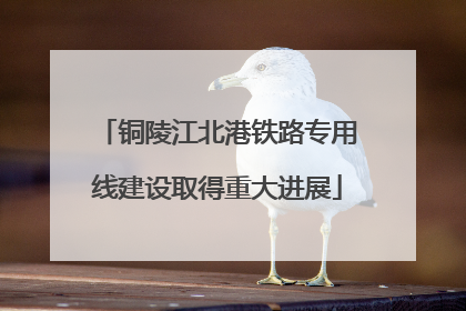 铜陵江北港铁路专用线建设取得重大进展