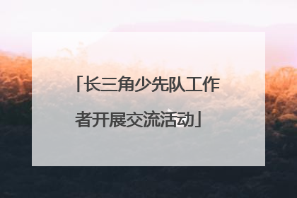 长三角少先队工作者开展交流活动