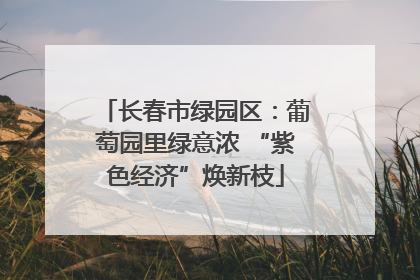 长春市绿园区：葡萄园里绿意浓 “紫色经济”焕新枝