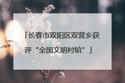 长春市双阳区双营乡获评“全国文明村镇”