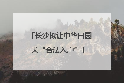 长沙拟让中华田园犬“合法入户”