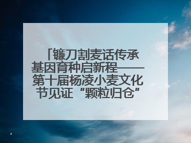 镰刀割麦话传承 基因育种启新程——第十届杨凌小麦文化节见证“颗粒归仓”时空跨越