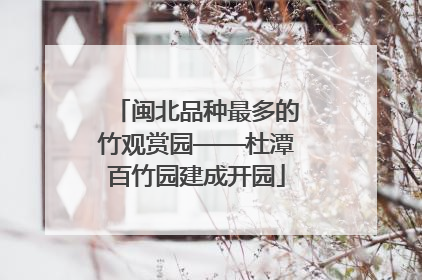 闽北品种最多的竹观赏园——杜潭百竹园建成开园