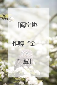 闽宁协作孵“金”蛋