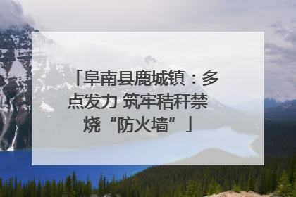 阜南县鹿城镇：多点发力 筑牢秸秆禁烧“防火墙”